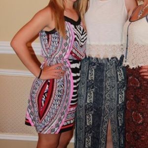 Express Zebra Print Dress